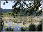 foto Lago di Fimon